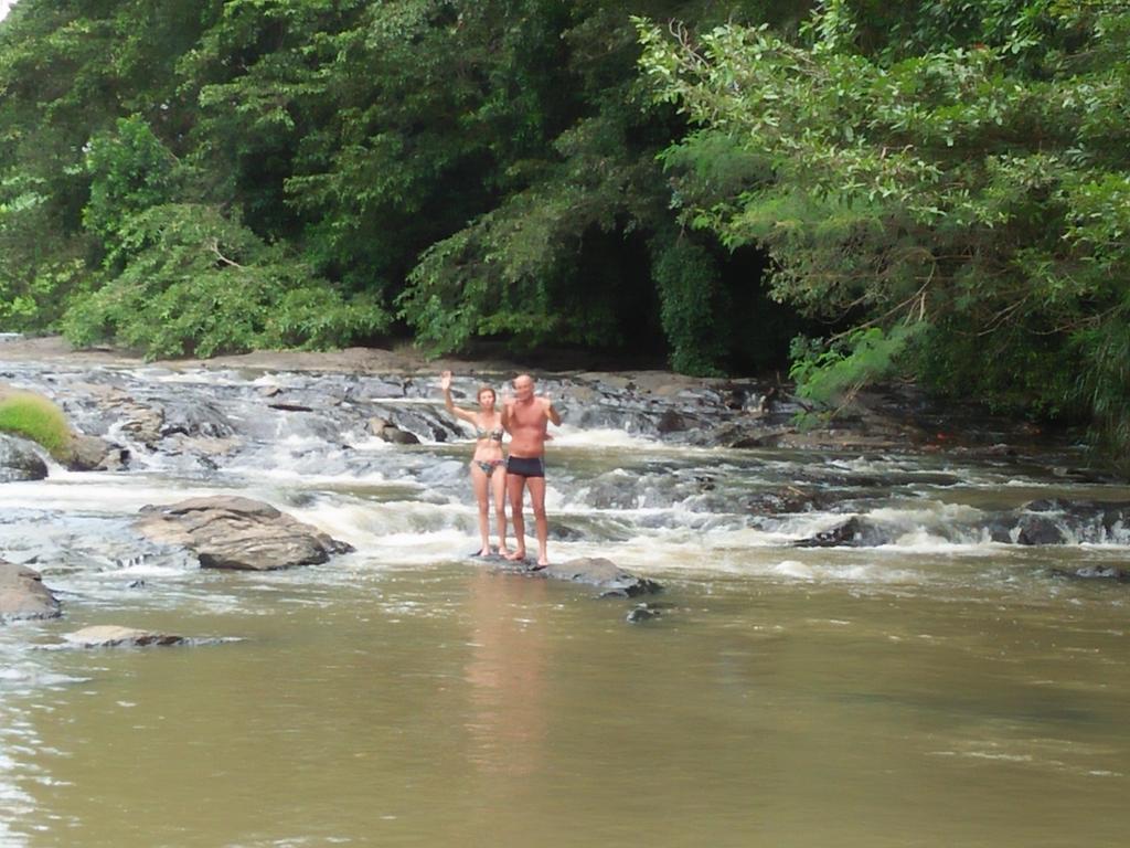 Brookline Safari Resort Udawalawe Kültér fotó
