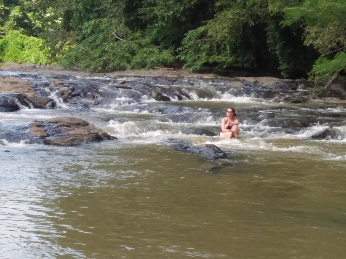 Brookline Safari Resort Udawalawe Kültér fotó