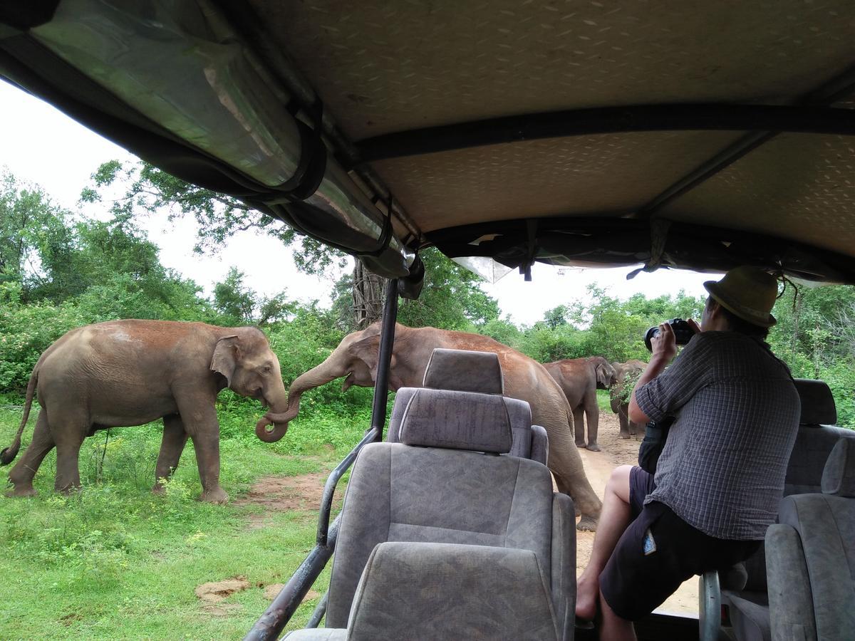 Brookline Safari Resort Udawalawe Kültér fotó
