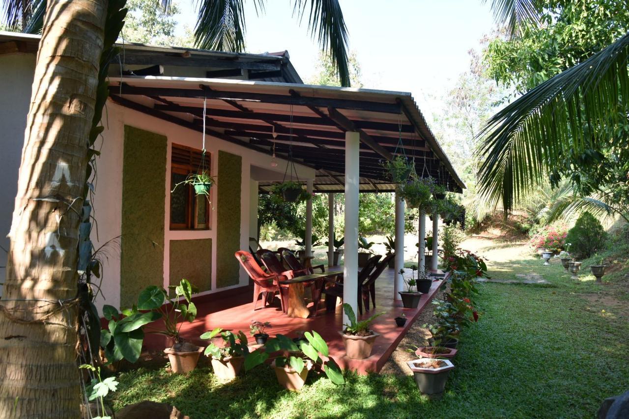 Brookline Safari Resort Udawalawe Kültér fotó