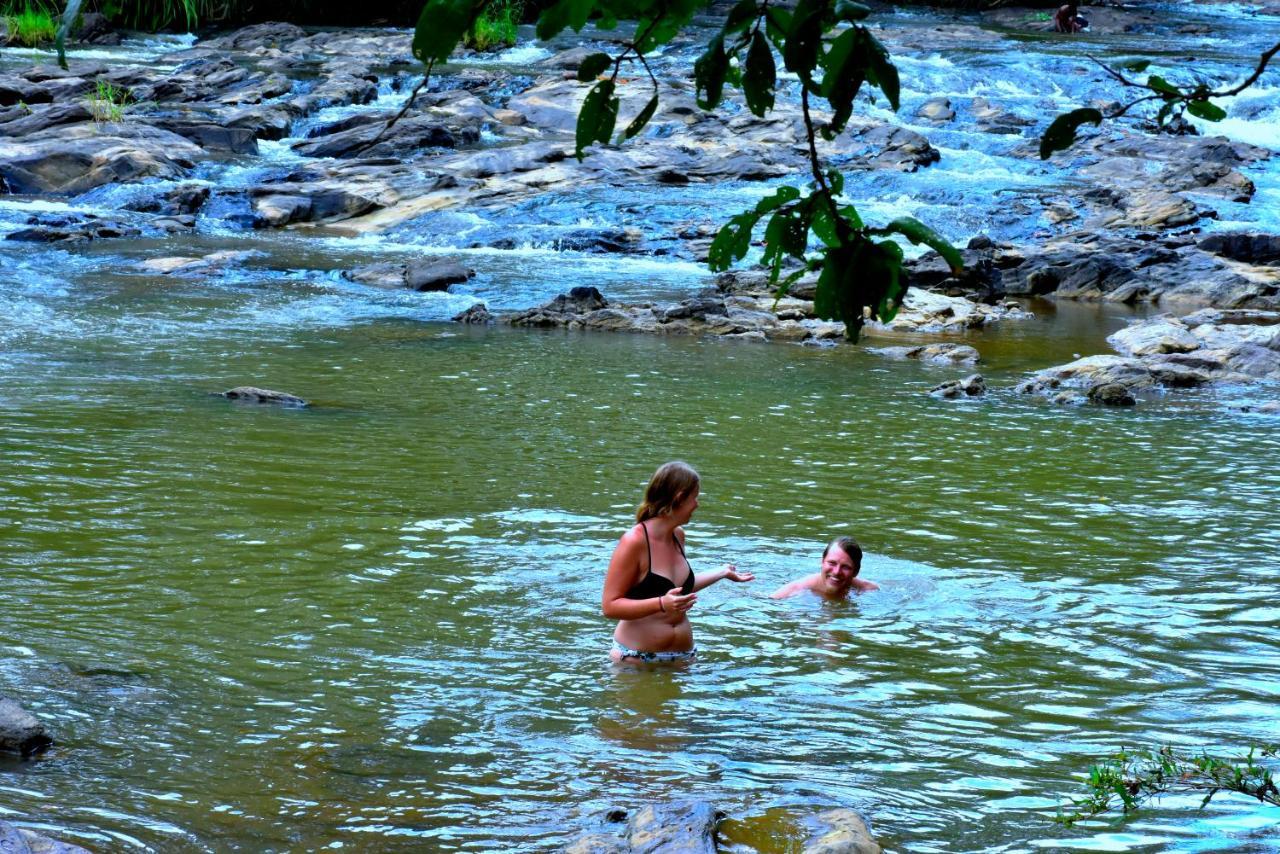Brookline Safari Resort Udawalawe Kültér fotó