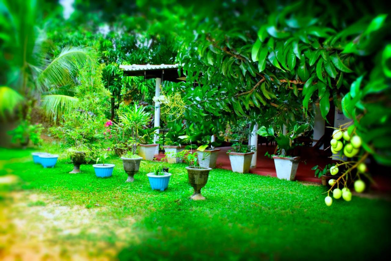Brookline Safari Resort Udawalawe Kültér fotó