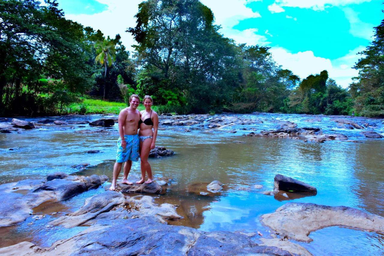 Brookline Safari Resort Udawalawe Kültér fotó