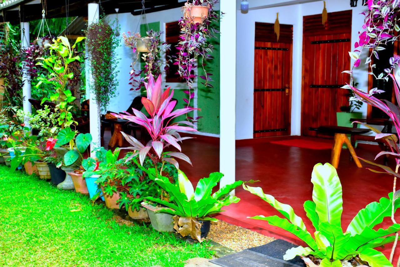 Brookline Safari Resort Udawalawe Kültér fotó