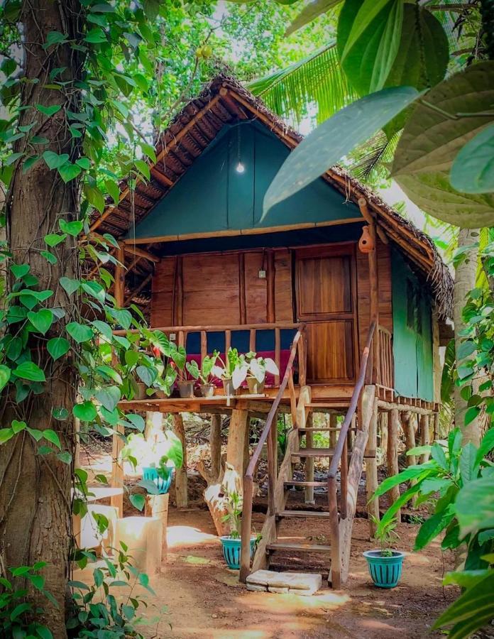 Brookline Safari Resort Udawalawe Kültér fotó