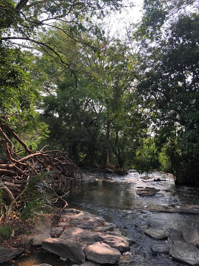 Brookline Safari Resort Udawalawe Kültér fotó